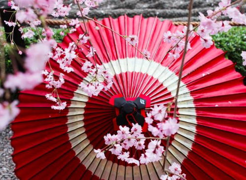 京都唯一的兩家純手工和傘老鋪 一生一心