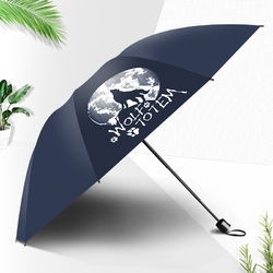 紅葉晴雨傘品牌簡介 紅葉雨傘怎么樣 十大品牌網