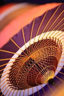 fod工具控 民間制傘藝人才是泡妞高手