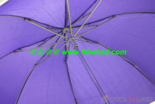 廣告?zhèn)?武漢廣告?zhèn)?廣告禮品傘3009