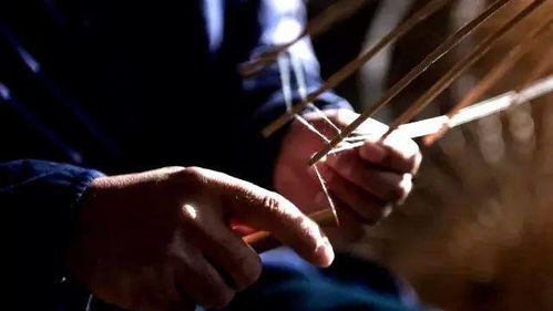 賦春研旅 這把傘到底有怎樣的魅力,外國(guó)友人 研學(xué)團(tuán)隊(duì)竟接踵而至