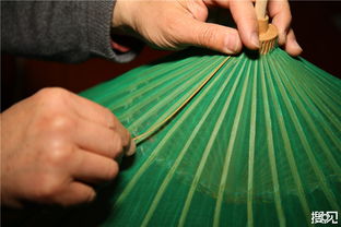 搜見 第193期 西湖稠傘傳承人