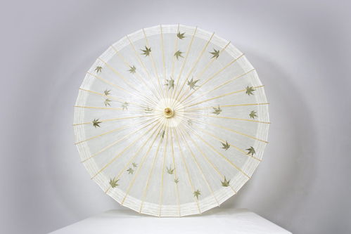 人境 主角 畢六福 中國(guó)傘王 制造 中國(guó)傘王