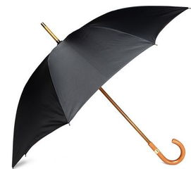 世界頂級雨傘 雖然只是傘,但它們真的很拽