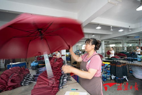 全國發展最快之一 看福建 跨 向品牌之路