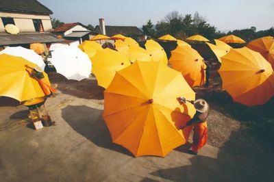 茂林花磚、孤峰油布傘