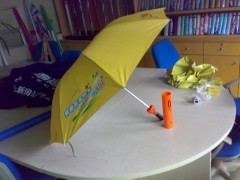 東莞制傘廠,十年行業(yè)經(jīng)驗專業(yè)為企業(yè)量身打造各種廣告?zhèn)闾杺愕萠產(chǎn)品_中國易發(fā)網(wǎng)