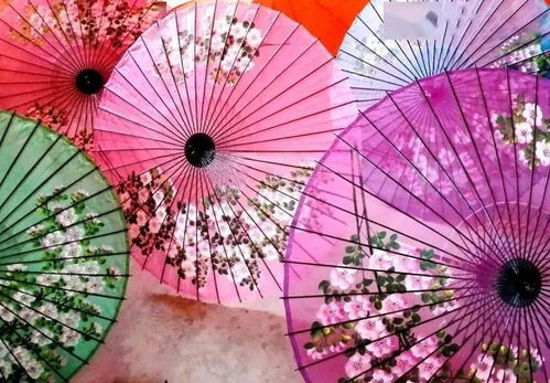 喜報 全國最佳畫面作品獎