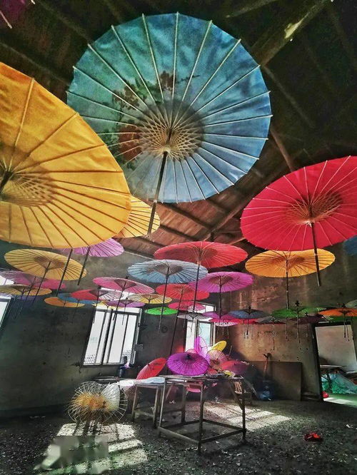 廣東汕頭來婺源休閑攝影創作四天深度游攻略