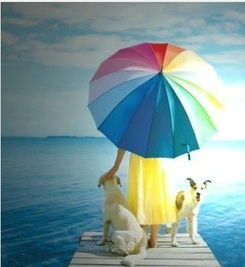 遮陽傘避雨應急后飽受折磨 遮陽傘不能晴雨兩用