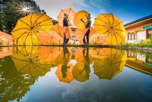 美 人民日報 都關注的這把油布傘長啥樣