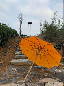 油布傘始于宋元,盛于明清