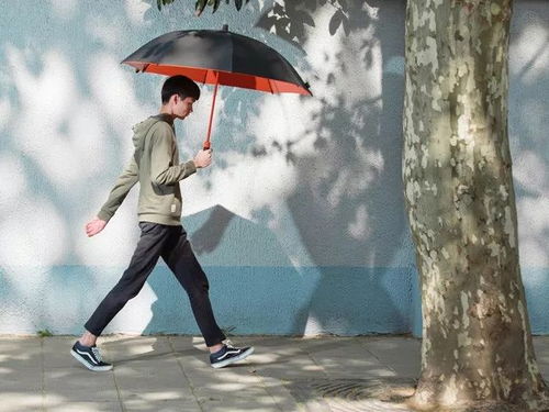 好物 德國(guó)百年制傘家族做的超強(qiáng)防風(fēng)傘,8級(jí)臺(tái)風(fēng) 暴雨,都小意思