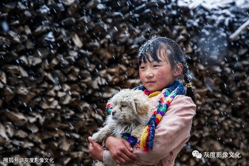 牛氣沖天丨灰度影像2020年度國(guó)內(nèi)賽成績(jī)匯總欣賞