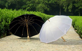 這把僅手機重量的手工竹傘卻抵御了5級勁風狂雨