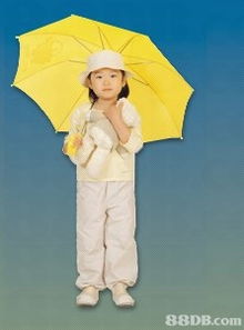 專業(yè)制作各類沙灘傘 睛雨傘 兒童傘