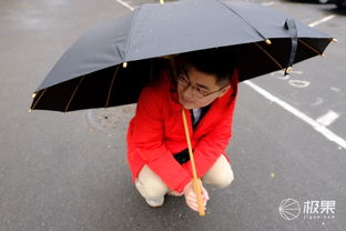 六人合做一把傘 竹制匠心，雨傘亦是英雄劍——天開谷雨經典黑色竹語傘評測