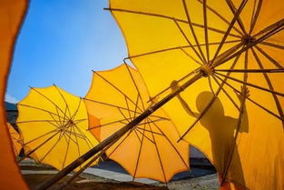 涇縣 傘藝之鄉的別樣風光