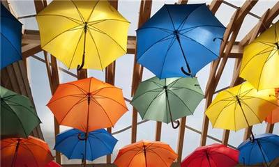 從2000元到行業第一 一把傘背后的創新與挑戰