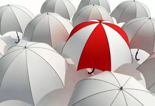 蕭山這21個地方最拿得出手的特產，您也必須存一份——制傘